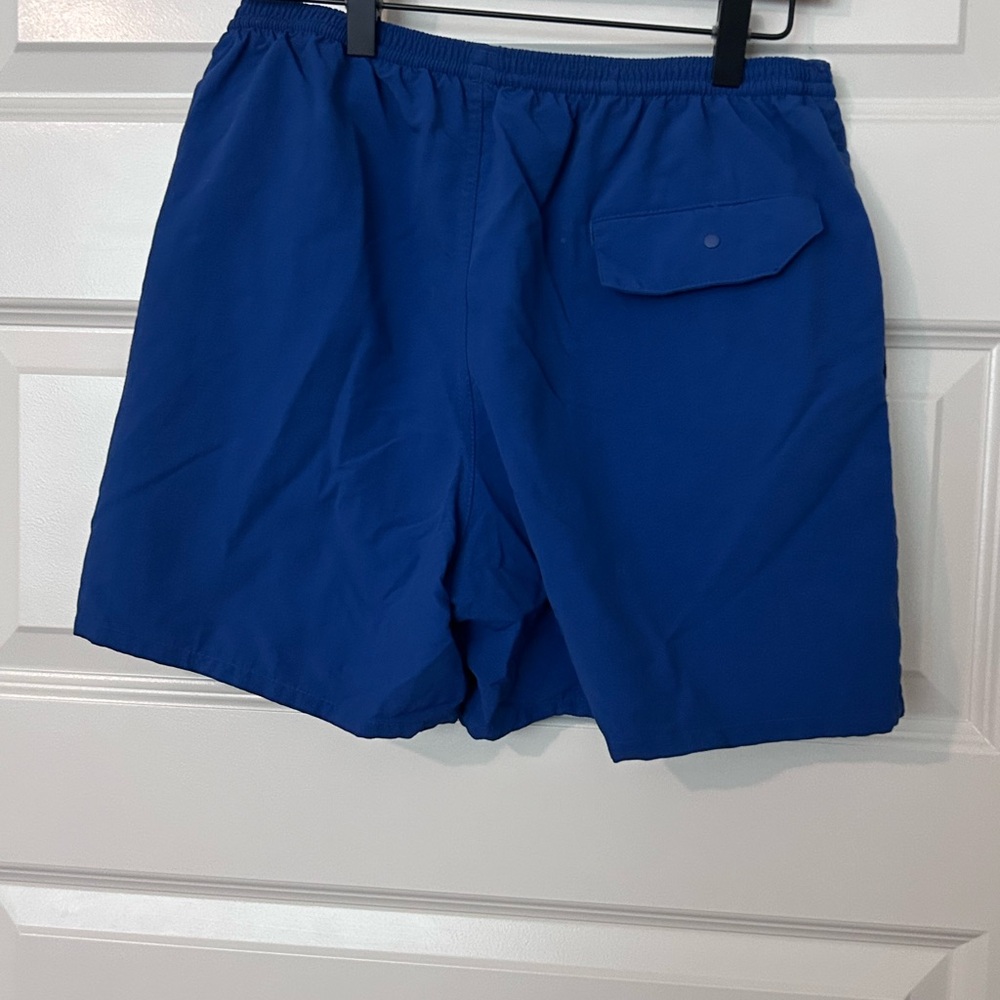 Patagonia Men's Royal Blue Shorts